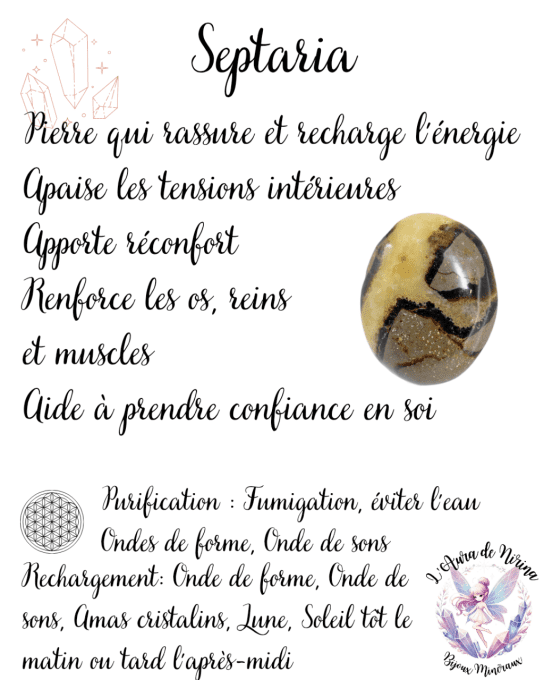 Galet de Septaria 