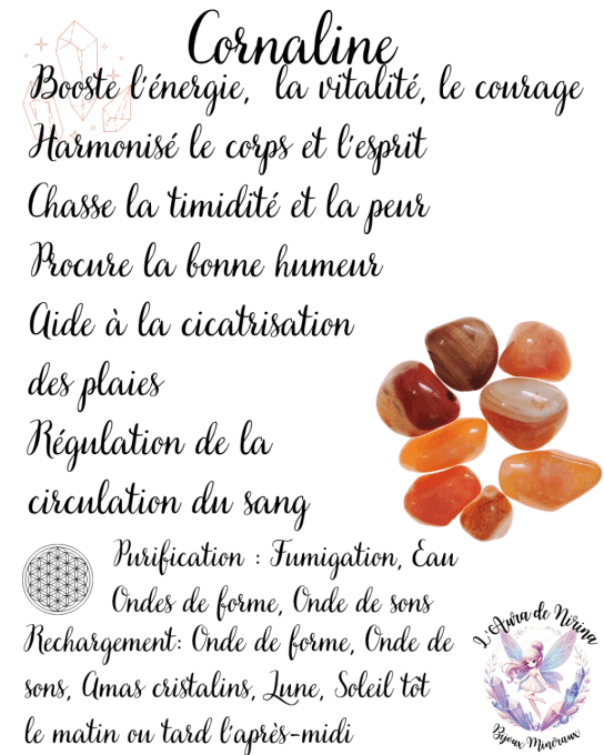 Bracelet en Cornaline 6mm
