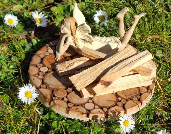 Palo Santo 1 bâtonnet 