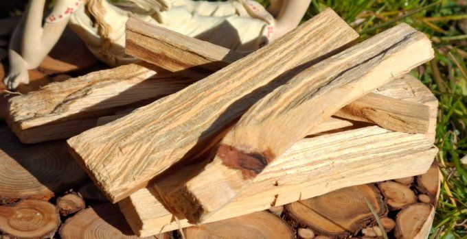 Palo Santo 1 bâtonnet 