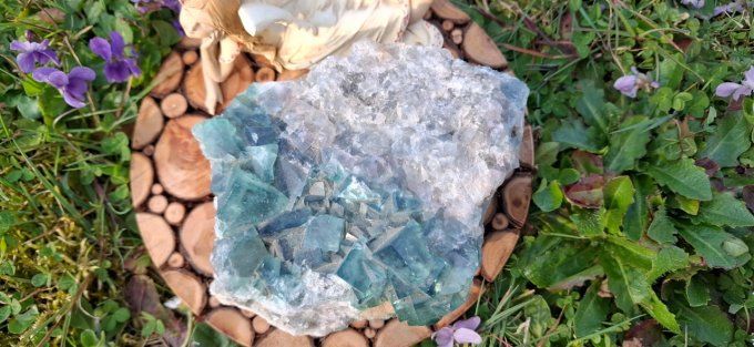 Fluorite cubique sur Gangue