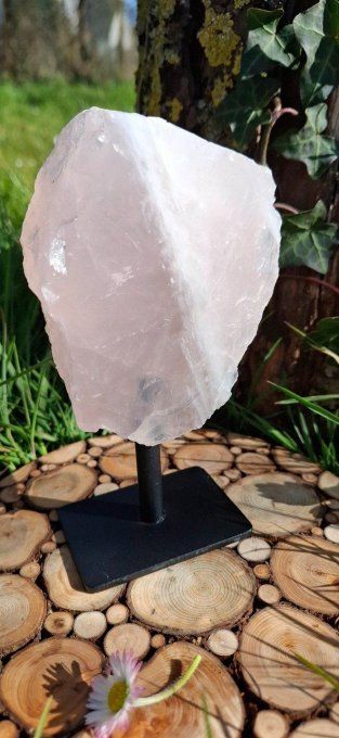 Quartz Rose sur pied